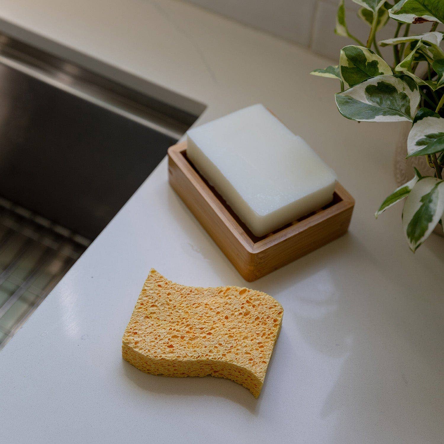 Cellulose Pop-Up Sponge - 2 Pack