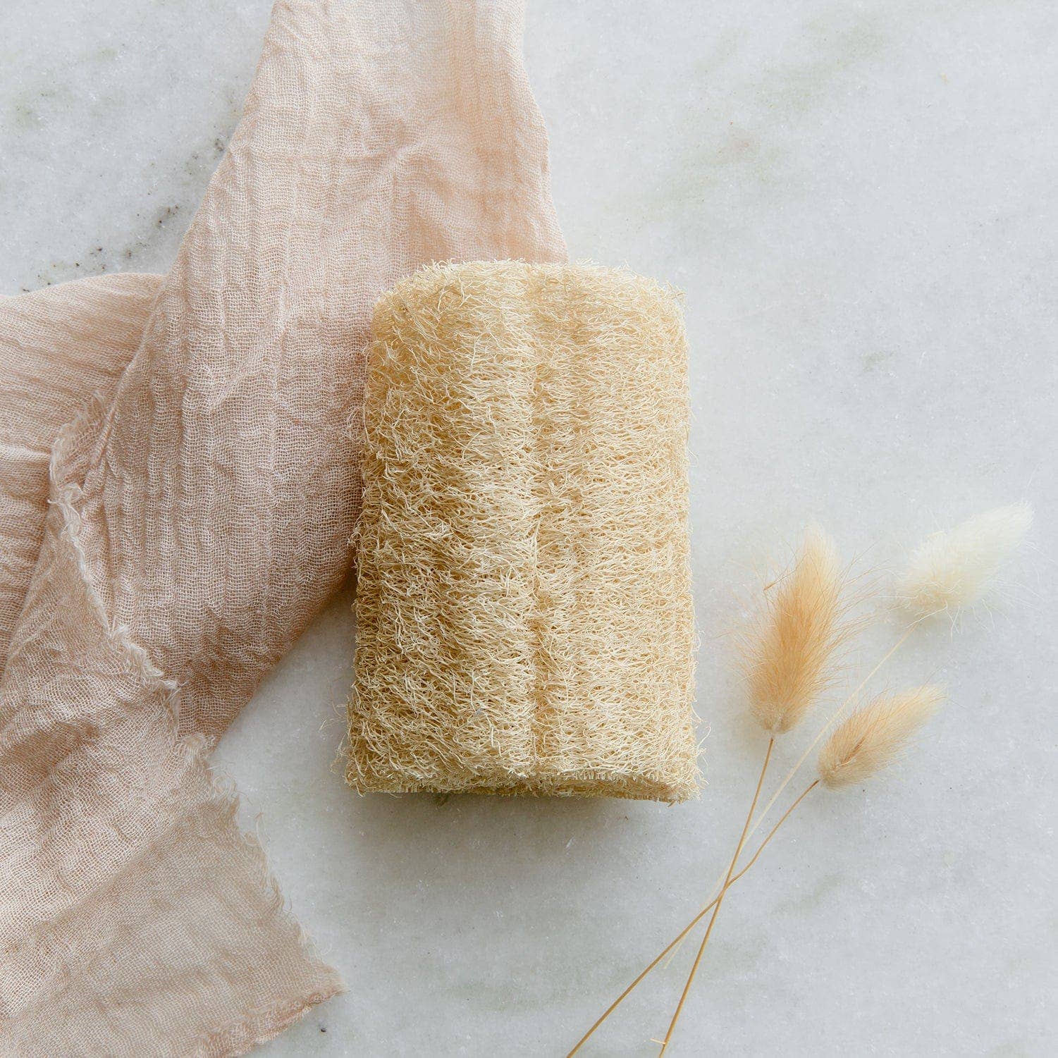 Natural Loofah Sponge