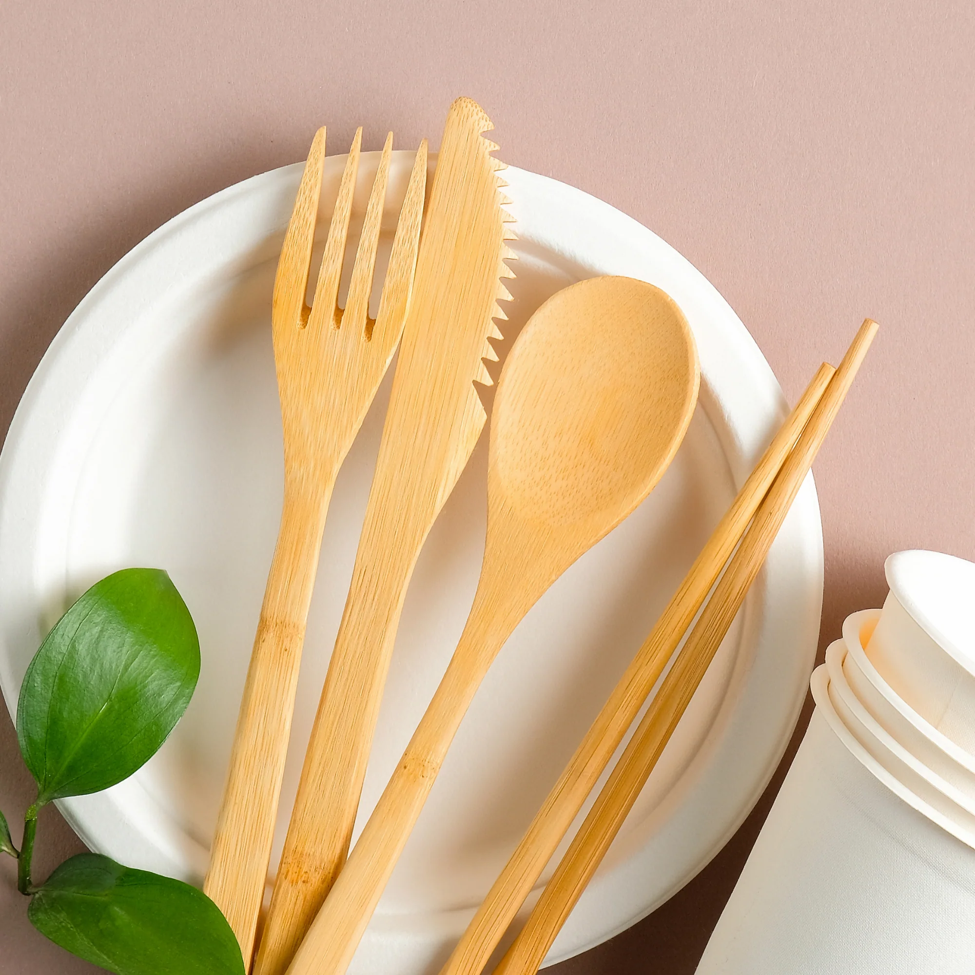 Bamboo Cutlery