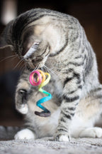 Spring Cat Toy