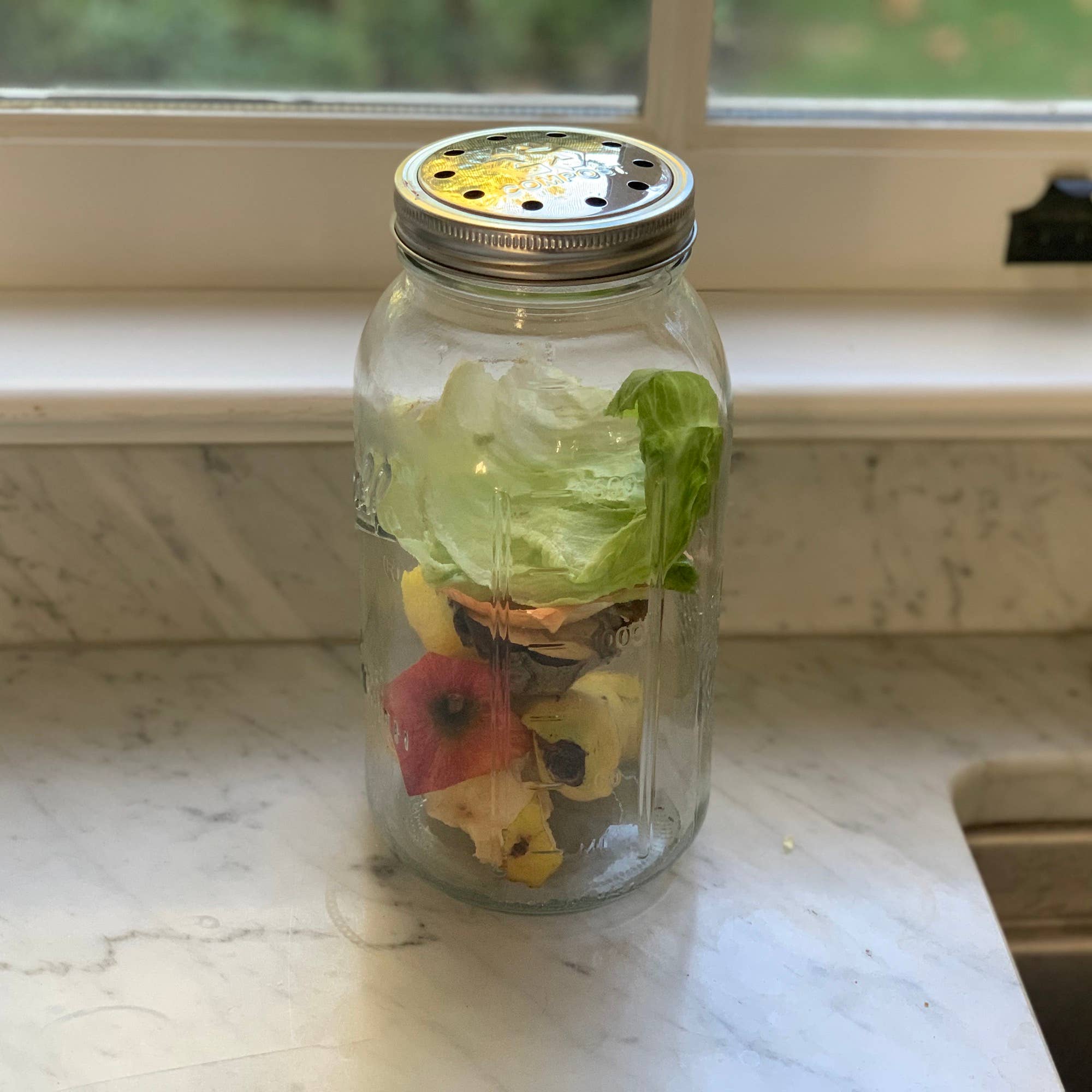 Compost Lid - Wide Mouth