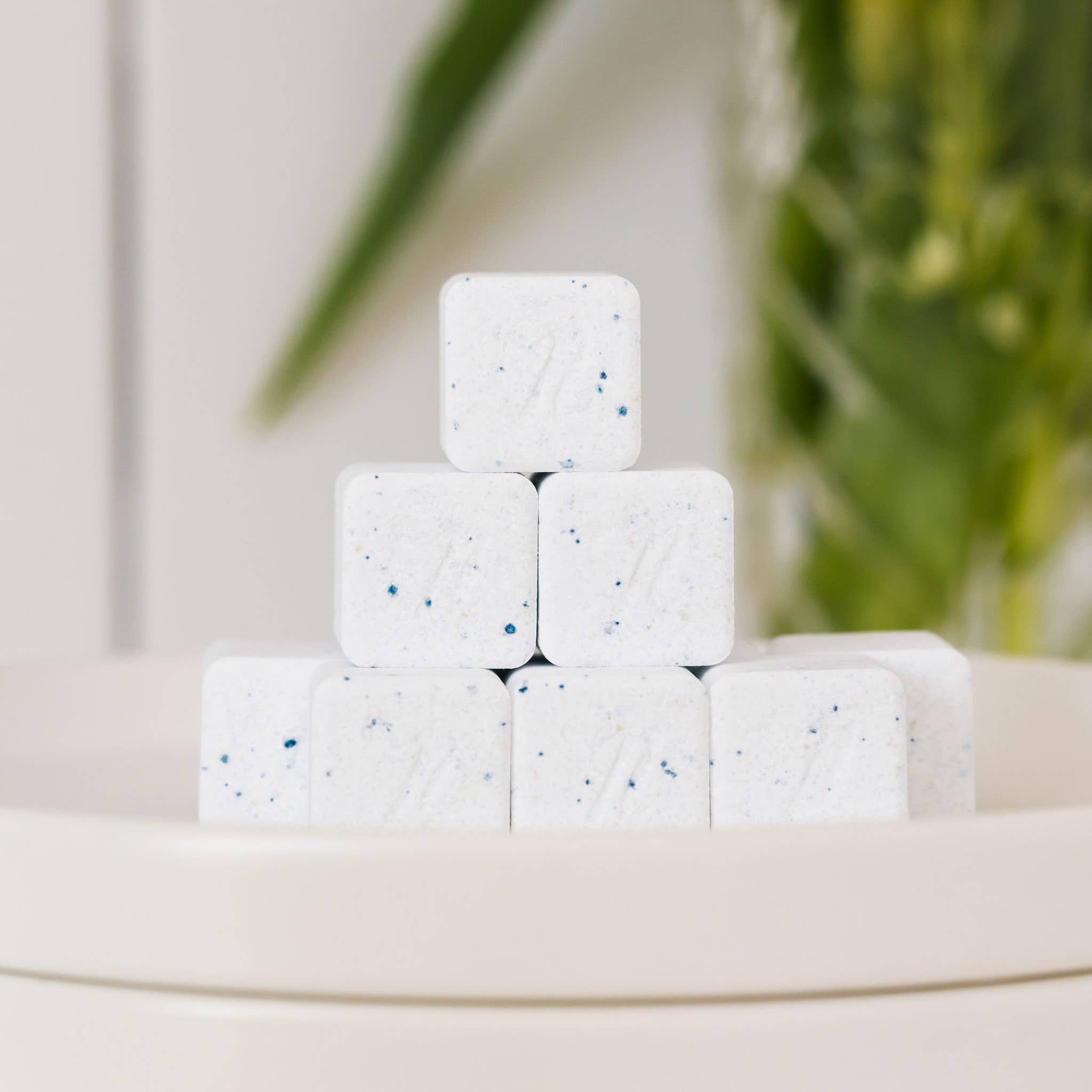 Dishwasher Cubes