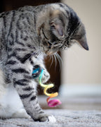 Spring Cat Toy