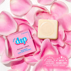 Shampoo Bar - Mini Size