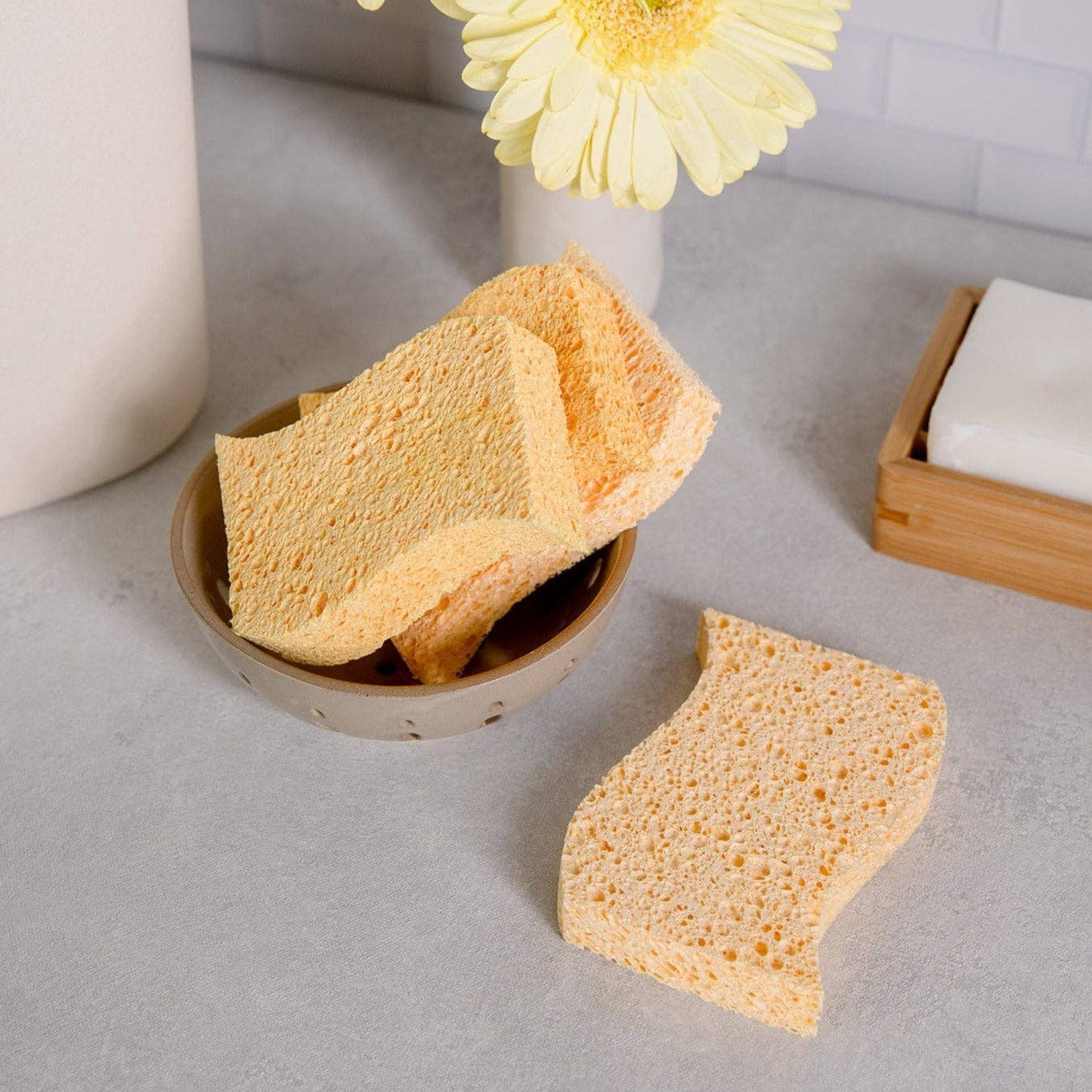 Cellulose Pop-Up Sponge - 2 Pack