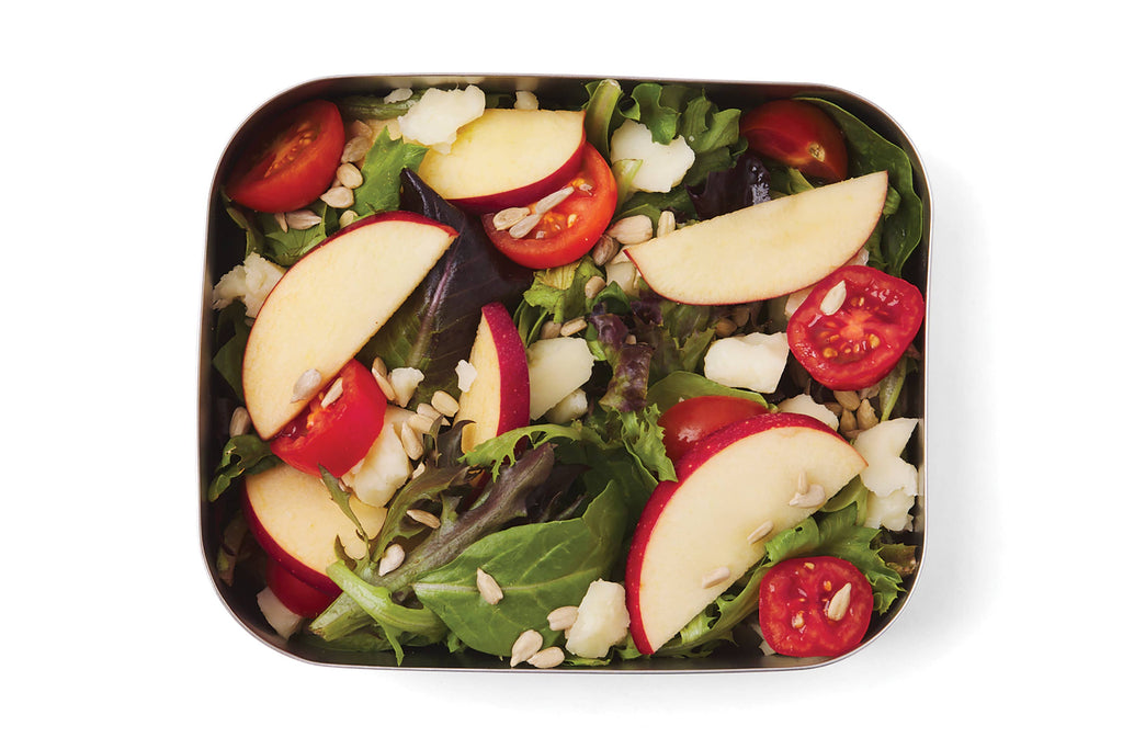 Stainless Steel Bento Box - Small