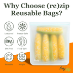 Reusable Flat Gallon Storage Bags - 2 Pack