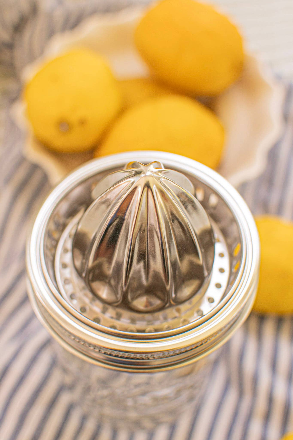 Juicer Lid - Stainless Steel
