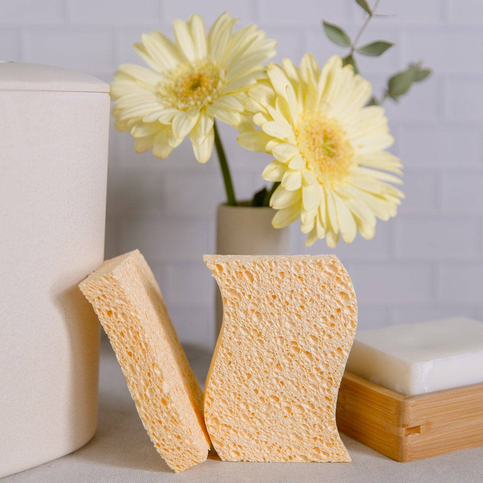 Cellulose Pop-Up Sponge - 2 Pack