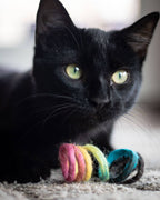 Spring Cat Toy