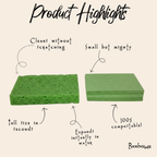 Cellulose Sponge - Compostable