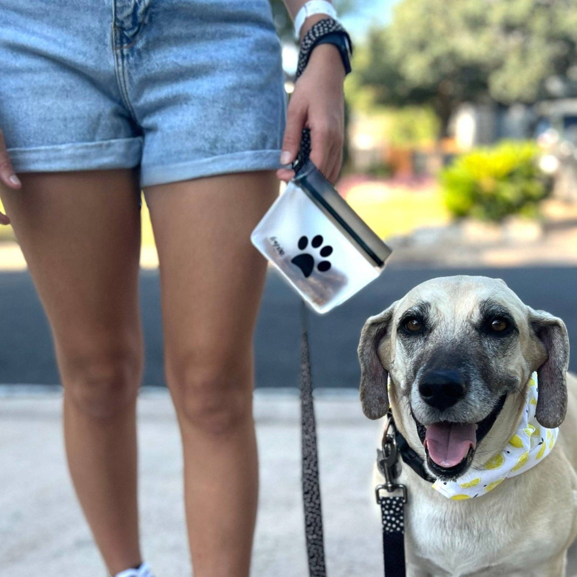 Pet Bag w/ Carabiner