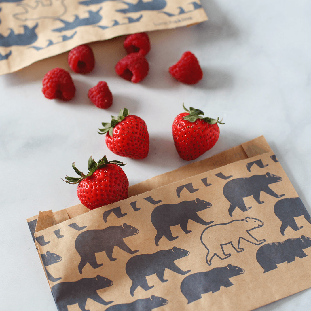 Compostable Snack Bags 50ct – Bear Print