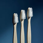 Adult Bamboo Toothbrush