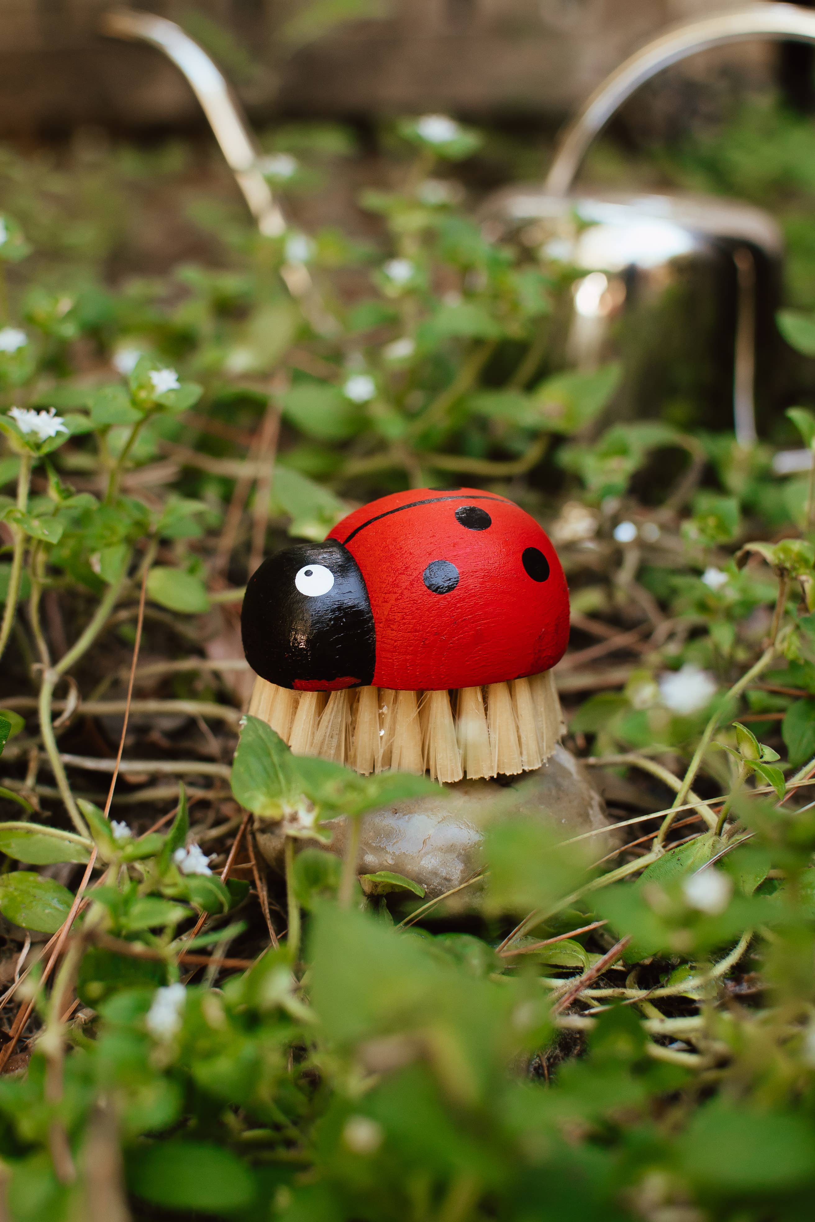 Ladybug Cleaning Brush