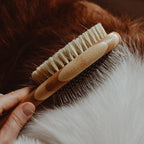 Dog Brush