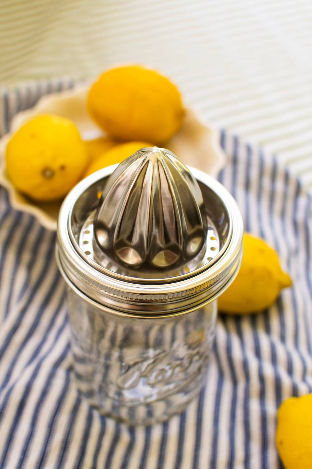 Juicer Lid - Stainless Steel