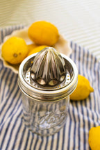 Juicer Lid - Stainless Steel