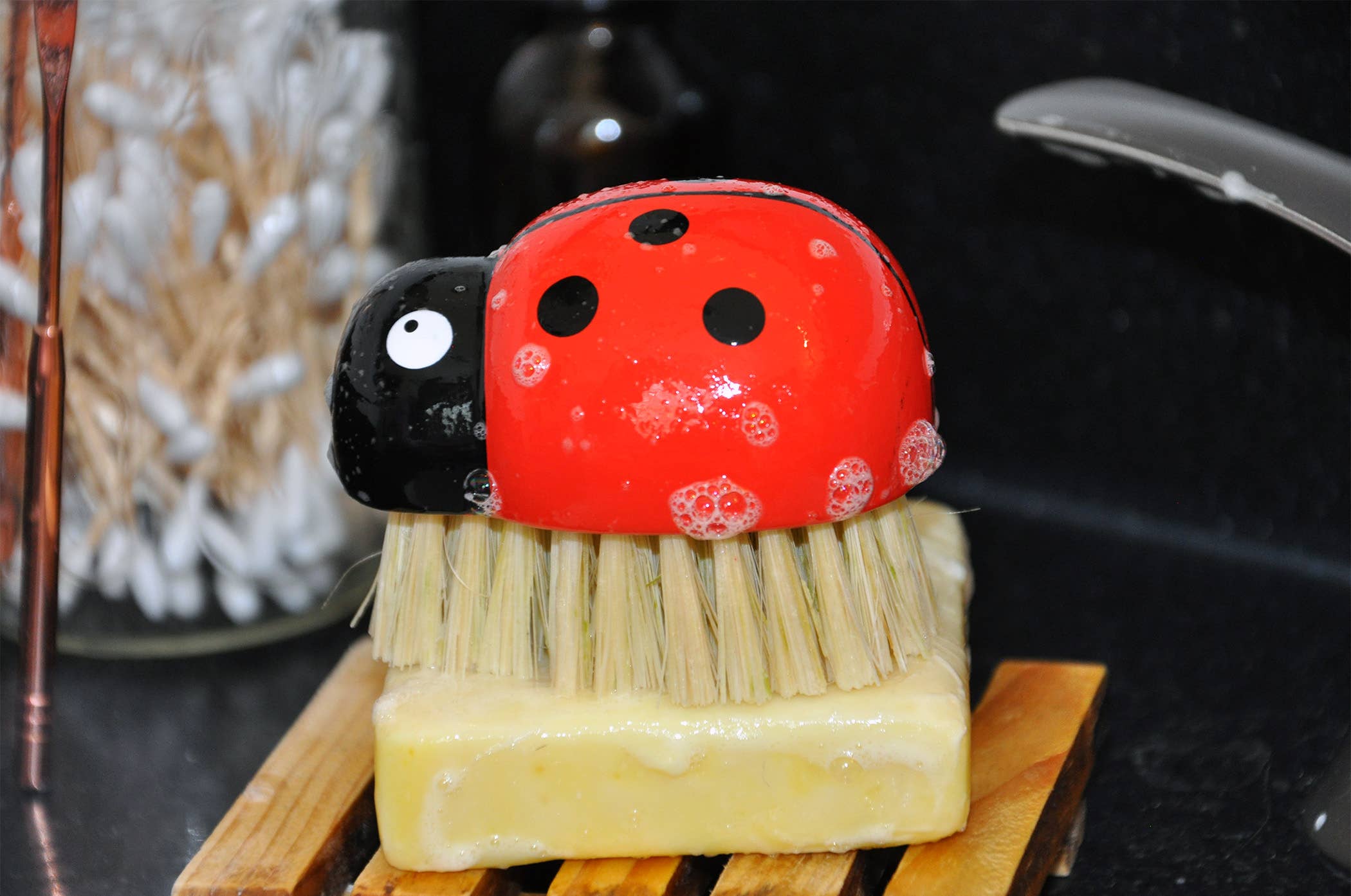 Ladybug Cleaning Brush