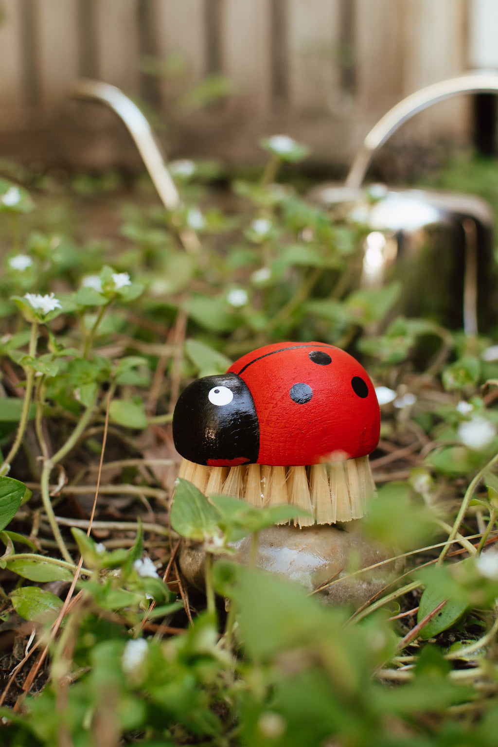Ladybug Cleaning Brush