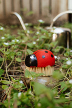 Ladybug Cleaning Brush