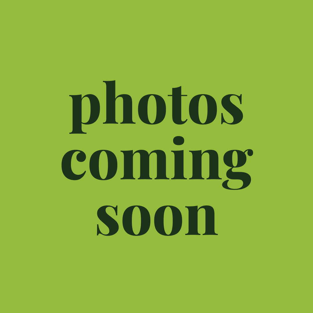 Foaming Hand Soap - Bulk